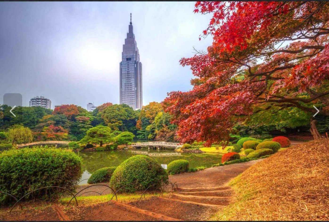 诚信东新宿 Tokyo 0*,  Japan